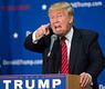 ترامب 