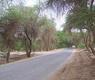 أرشيف