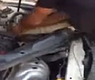 اخراج ثعبان ضخم من ماكينة سيارة